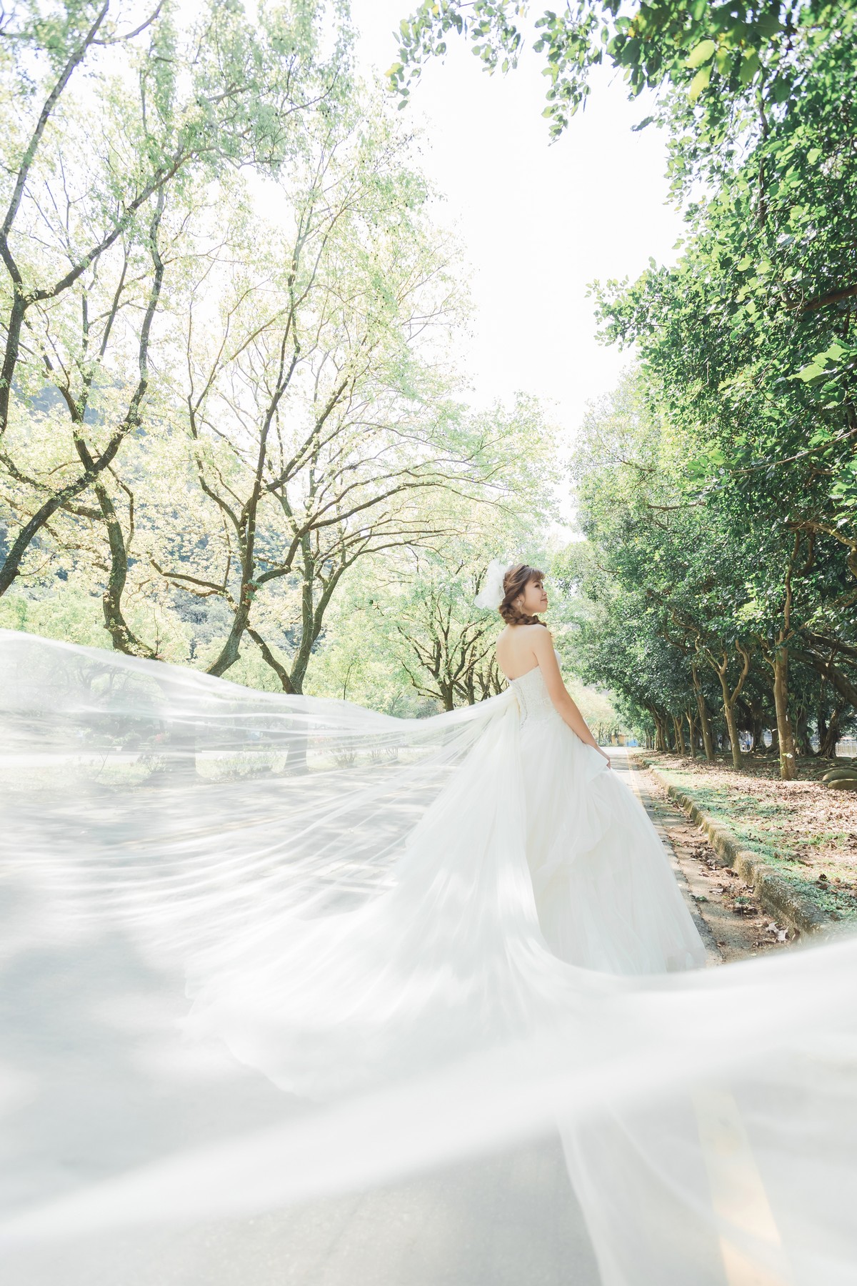 自然光樹林婚紗照